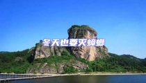冬天也要灭蟑螂