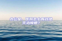 办公室、医院怎么有效地灭治蟑螂？