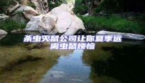 杀虫灭鼠公司让你夏季远离虫鼠烦恼