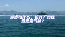 蟑螂怕什么,怕光?怕味道还是气味?