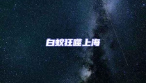 白蚁狂噬上海