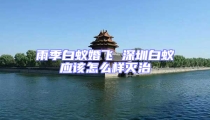 雨季白蚁婚飞 深圳白蚁应该怎么样灭治