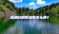 深圳白蚁防治所怎么样?