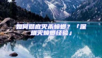 如何彻底灭杀蟑螂？「深圳灭蟑螂经验」