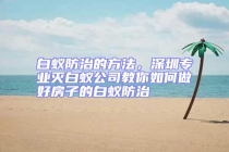 白蚁防治的方法，深圳专业灭白蚁公司教你如何做好房子的白蚁防治