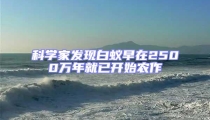 科学家发现白蚁早在2500万年就已开始农作