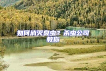 如何消灭臭虫？杀虫公司教你