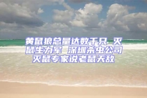 黄鼠狼总量达数千只 灭鼠生力军 深圳杀虫公司灭鼠专家说老鼠天敌