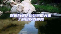 深圳白蚁防治公司带大家了解白蚁的种类