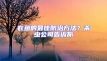 衣鱼的最佳防治方法?杀虫公司告诉你