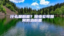 什么是粉蠹？除虫公司如何防治粉蠹