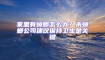 家里有蟑螂怎么办？杀蟑螂公司建议保持卫生是关键