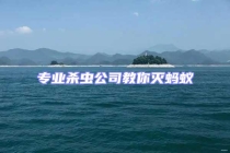 专业杀虫公司教你灭蚂蚁